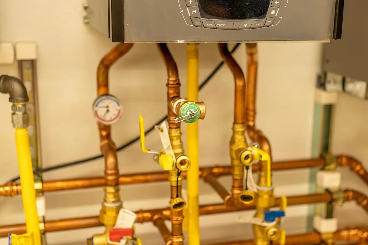 Licensed technician providing Emergency Plumbing for a homeowner in Webster